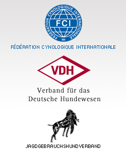 191EF53B-E315-480B-808F-7F8C98BFF0BD